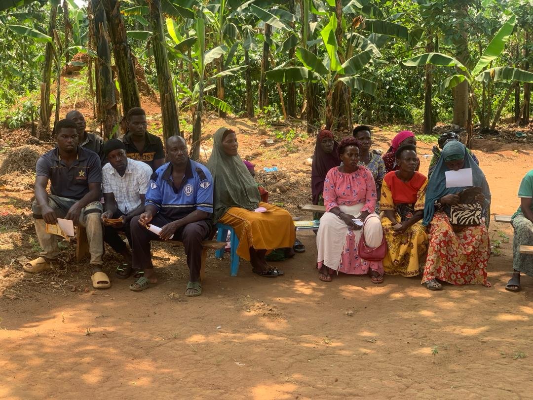 Mothers with chickens